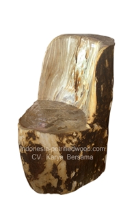 Petrified Wood Table Set