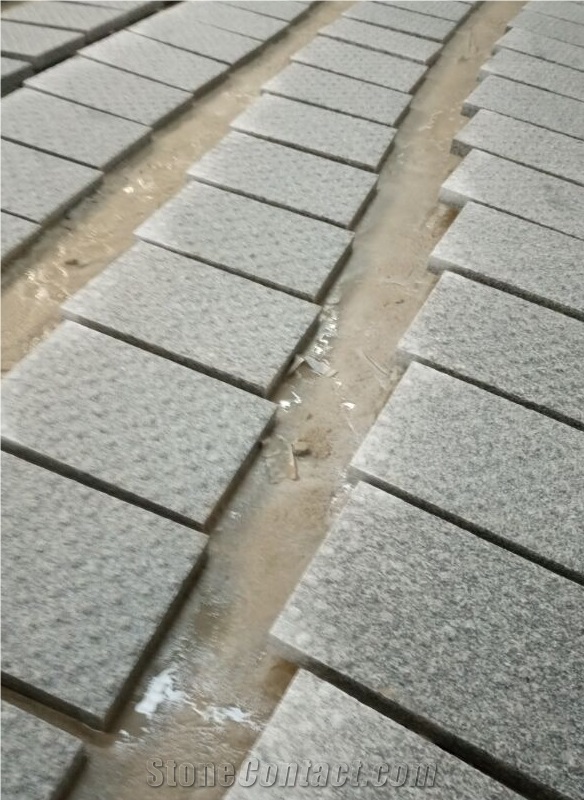 G603 Blind Sidewalk/Blind Walkway Paver/Cube Stone/Floor Covering/Paving Sets/Blind Stone Pavers