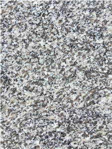 China Cheapest G603 Grey Seasame Granite/Bullnosed Granite Step/Stair Treads/Risers/Staircase/Deck Stair/High Quality Chinese Steps
