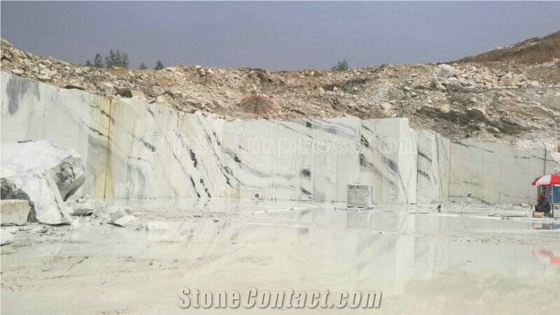 Chinese Best Price & High Quality Panda White Blocks/Dalmata Marble Blocks/China White Marble/Black & White Marble/China Marble