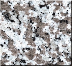 Hot Sale G439 Natural Granite Slabs & Tiles/Good Price & High Quality/Own Factory Direct G439/China Bianco Sardo/Big White Flower Granite/Cut-To-Size for Floor Covering and Wall Cladding Hot Sale G439 Natural Granite Slabs & Tiles/Good Price & High Quality/Own Factory Direct G439/China Bianco Sardo/Big White Flower Granite/Cut-To-Size for Floor Covering and Wall Cladding