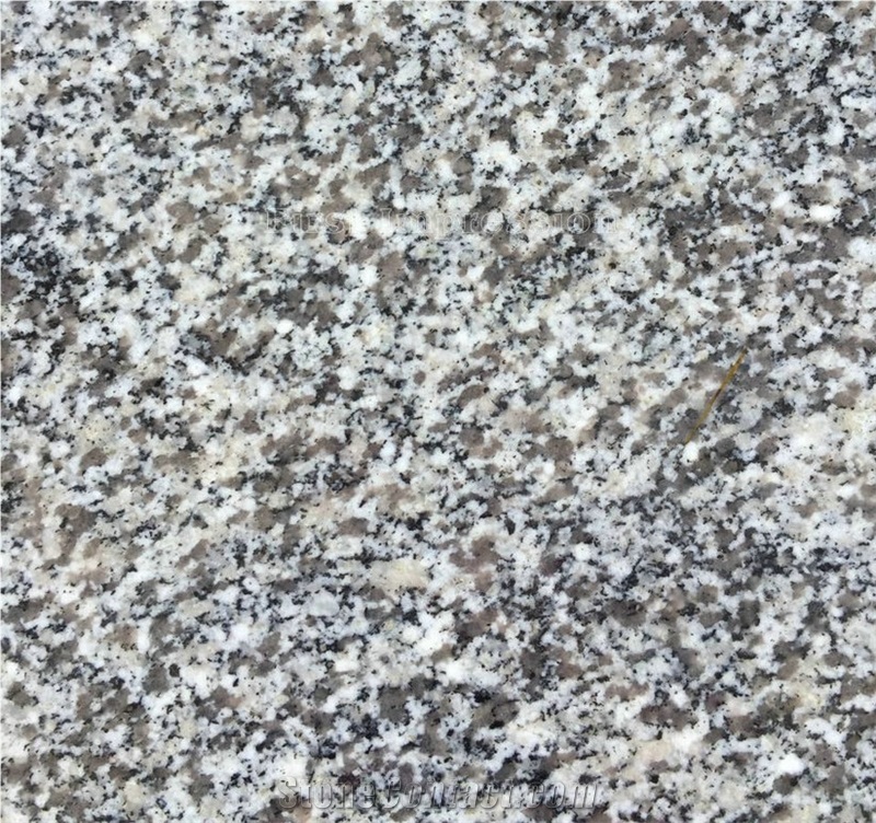Hot Sale New G603 Granite Tiles/Silver Grey Granite Slabs/Sesame White Granite/Crystal Grey Granite/Light Grey Granite/China Best Price Granite Wall & Floor Covering Cut to Size/High Quality Granite