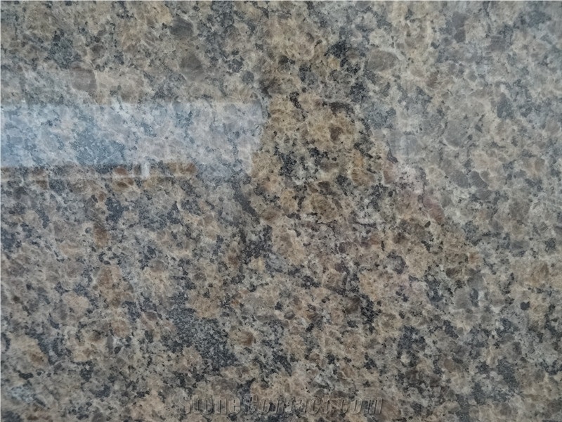 Canada Caledonia M Granite,Caledonia Md Granite,Caledonia Ml Granite,Dark Caledonia Granite,Caledonia Granite,Gallardo Granite Kitchen Countertops/Bench Tops/Bar Top/Worktops/Island Tops/Desk Tops
