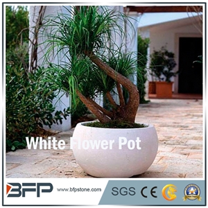 Different Shaped -G603 Grey Granite Flower Stand Pot & Planters /Garden Decor Landscaping Stone,Exterior Stone