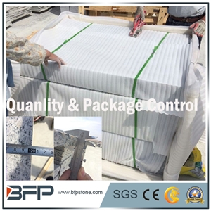 Exterior Step & Riser & Tread with White or Yellow or Grey