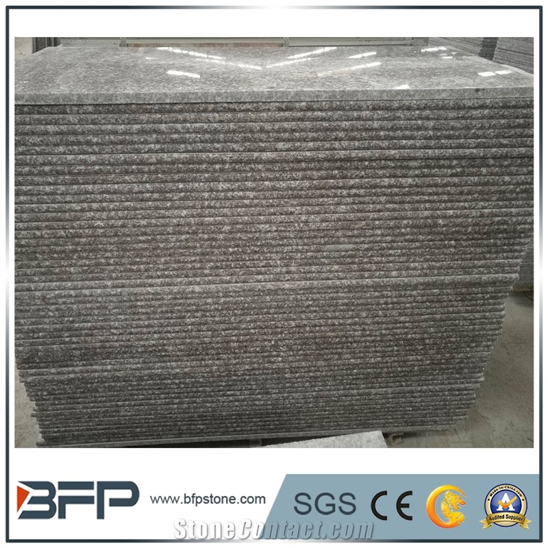 G664 Granite, Copper Browm, Luoyuan Red Granite, Luoyuan Violet Kitchen Countertop/Bench Tops, Polished Surfance and Bull Nose Edge Treatment