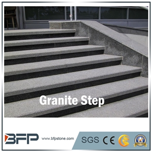 Grey Grantie Step & White Granite Riser for Staircase Grey Grantie Step & White Granite Riser for Staircase