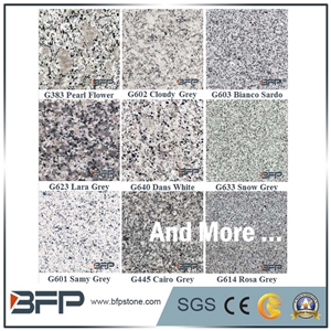 Grey Grantie Step & White Granite Riser for Staircase