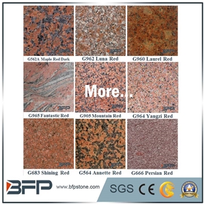 Red Granite Stair Step and Riser in Staircases