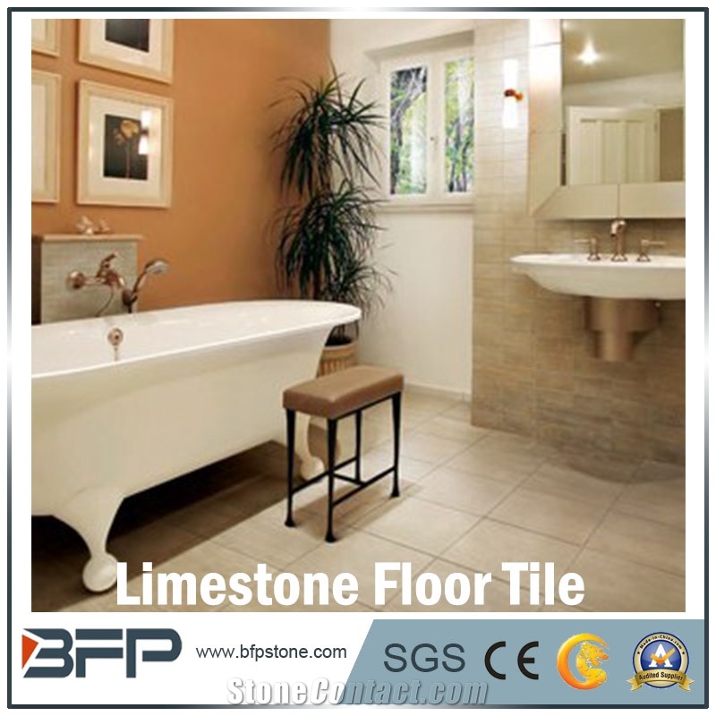 Shell Stone,Stone Material,Limestone Wall Tiles,Beige Limestone