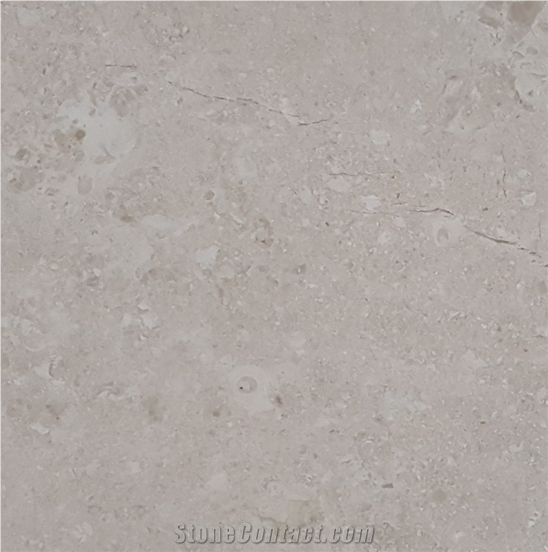 Elegant Beige