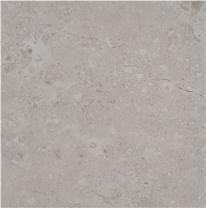 Elegant Beige Elegant Beige