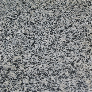 Grey Ukraine