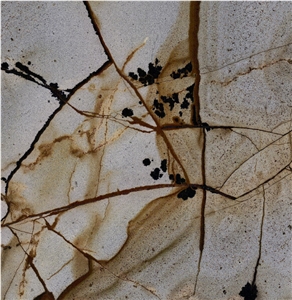 Brazil Stone Wood Quartzite Tiles, Slabs