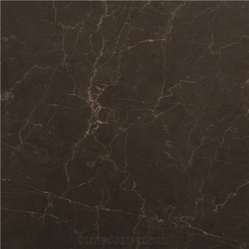 Dark Bronze Slabs & Tiles, Iran Brown Marble