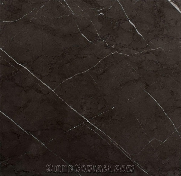 Pietra Gray Marble