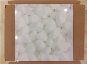 Ceramic Interior Floor Tiles