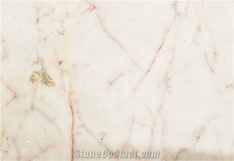 6"X 12" Cherry Blossom Polished Marble Tile