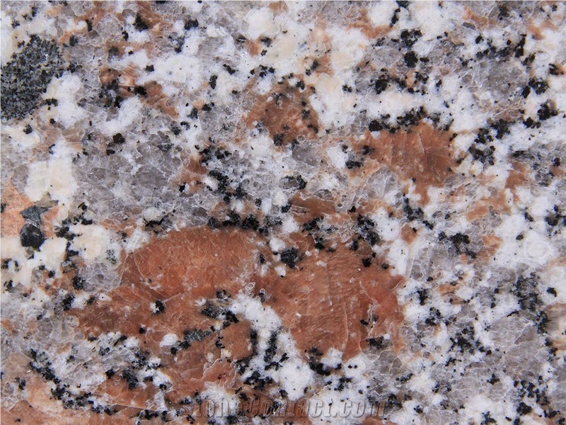 Granito Ghiandone Lucido, Rosa Sardo Ghiandone Polished