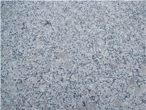 G383 Granite, G3783,Pearl Blossom,Zhaoyuan Pearl Flower Granite,China Shandong Laizhou Multicolor Granite Kitchen Countertop, Worktop