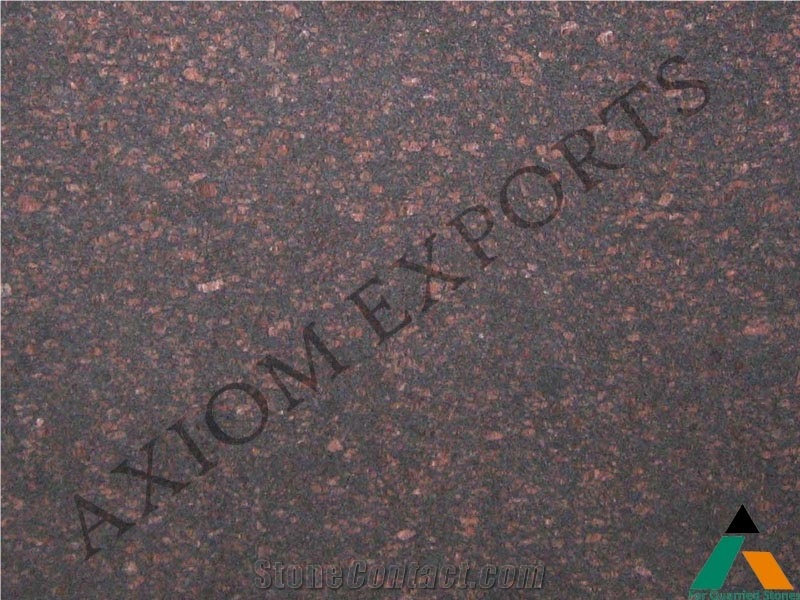 Indian Tan Brown Granite Slabs & Tiles, Brown Polished Granite Flooring Tiles, Walling Tiles