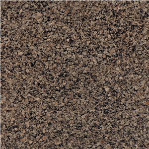 Desert Brown Granite tiles & slabs, floor tiles, wall tiles 