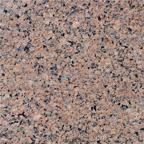 Desert Brown Granite tiles & slabs, floor tiles, wall tiles 