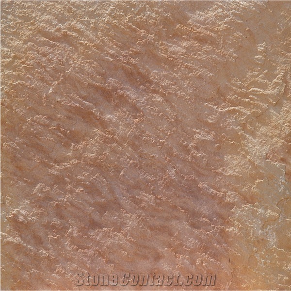 Panther Sandstone Tiles & Slabs, Brown Sandstone Floor Tiles, Wall Tiles