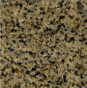 Royal Gold Granite Slab