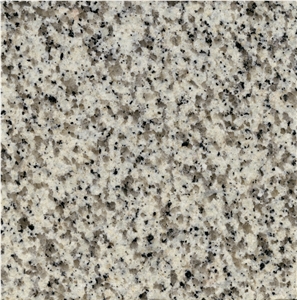Saudi Bianco Granite Slabs