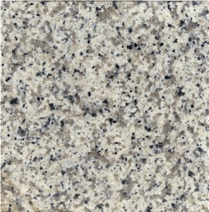 Saudi Bianco Granite Slabs