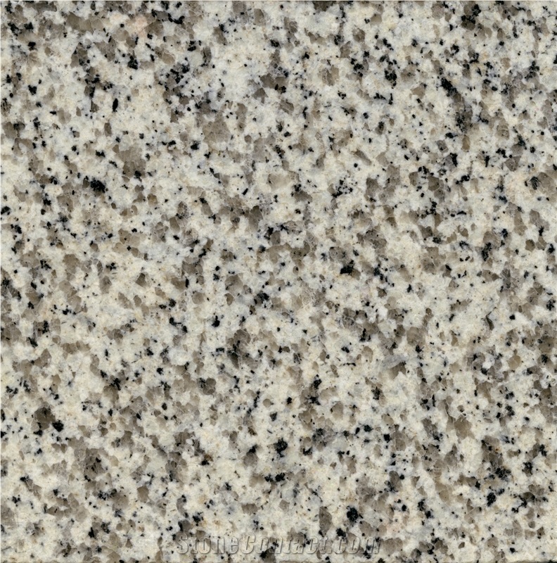 Saudi Bianco Granite Slabs, Saudi Arabia White Granite