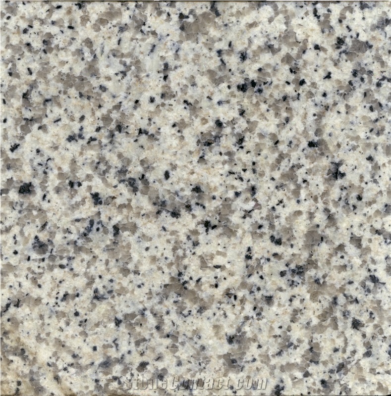 Saudi Bianco Granite Slabs, Saudi Arabia White Granite
