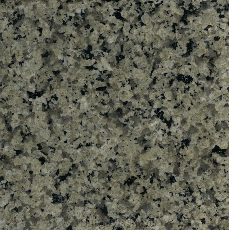 Silver Green Granite Slab