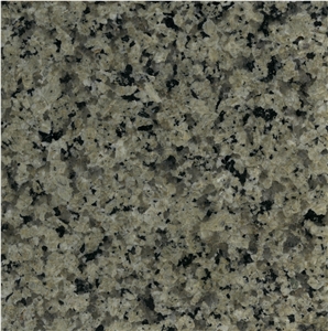 Silver Green Granite Slab Silver Green Granite Slab