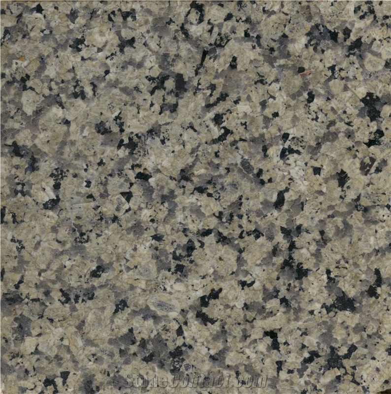 Silver Green Granite Slab
