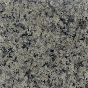 Silver Green Granite Slab