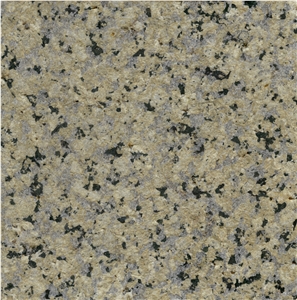 Silver Green Granite Slab