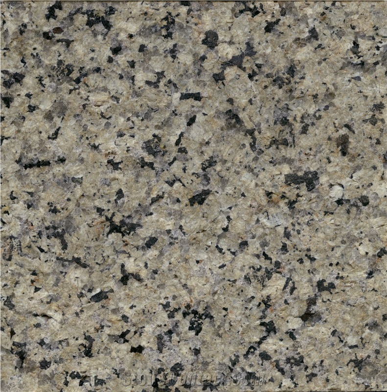 Silver Green Granite Slab