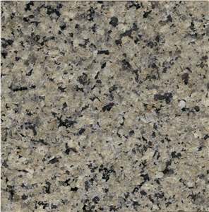 Silver Green Granite Slab