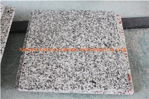 G640 Bianco Sardo Granite Flooring Tile 305x305x10mm