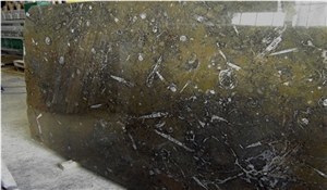 Fossile Marrone - Fossil Brown Marble Slabs Fossile Marrone - Fossil Brown Marble Slabs