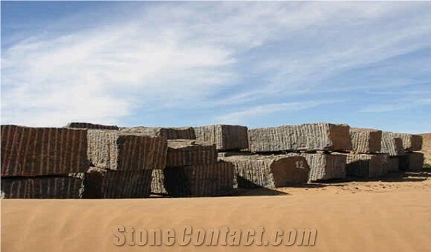 Fossile Nero Marble Blocks, Fossil Black