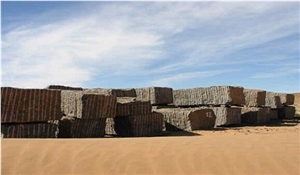Fossile Nero Marble Blocks, Fossil Black