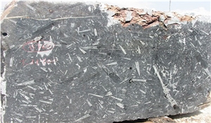 Fossile Nero Marble Blocks, Fossil Black
