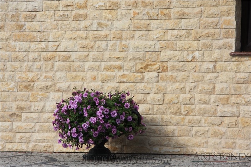 Beige Dalmatia Limestone Facade