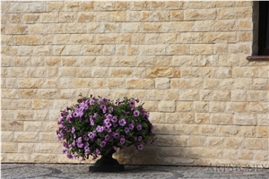 Beige Dalmatia Limestone Facade