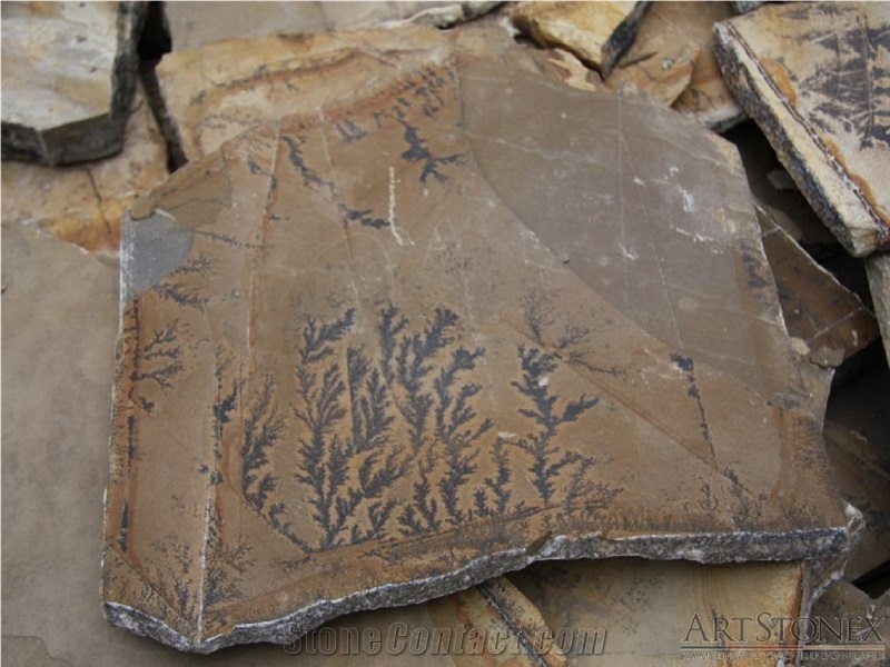 Dendrite Ferns Irregular Flagstone