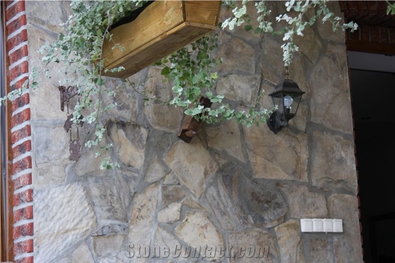 Dendrite Ferns Irregular Flagstone