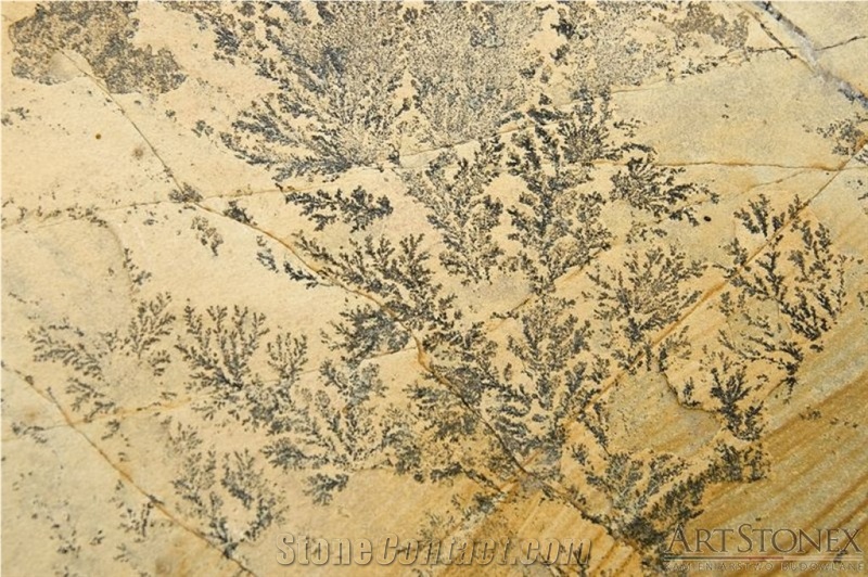 Dendrite Ferns Irregular Flagstone